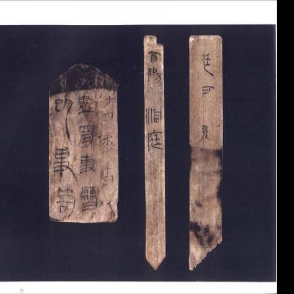 里耶秦简 - 图片6