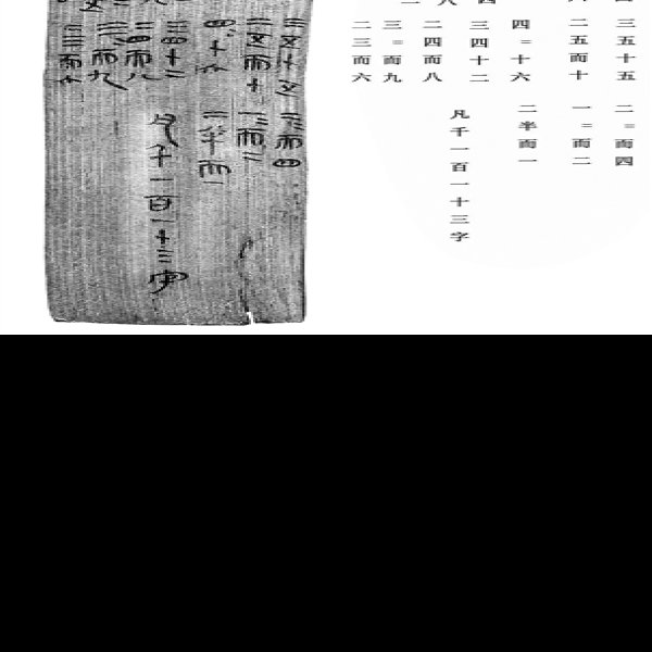 里耶秦简 - 图片9