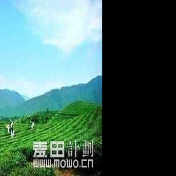 安化茶马古道 - 图片10