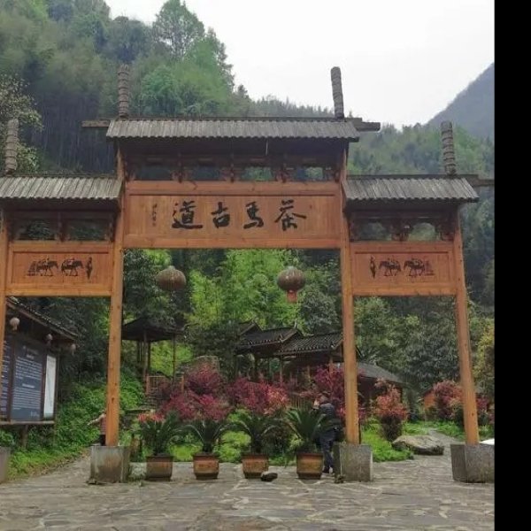 安化茶马古道 - 图片5