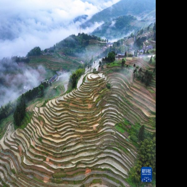 娄底紫鹊界梯田 - 图片3
