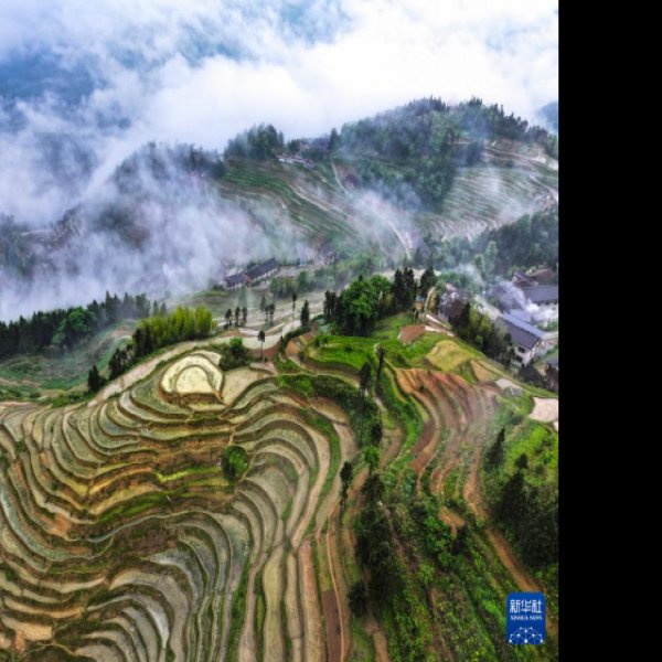 娄底紫鹊界梯田 - 图片6
