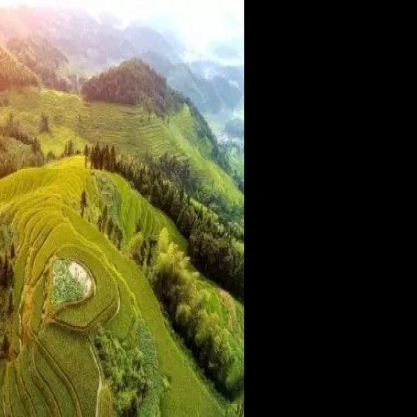 娄底紫鹊界梯田 - 图片7