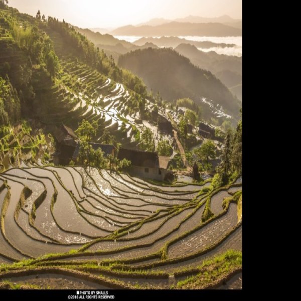 娄底紫鹊界梯田 - 图片9