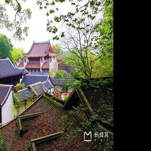 岳麓山国家重点风景名胜区 - 图片10