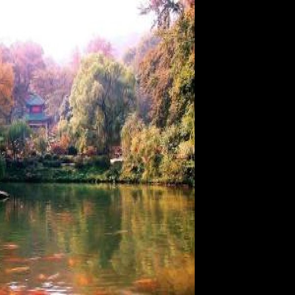 岳麓山国家重点风景名胜区 - 图片2