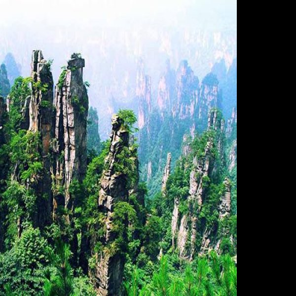 张家界国家森林公园 - 图片3
