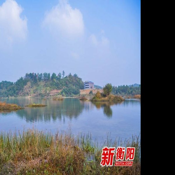 衡南江口鸟洲 - 图片4