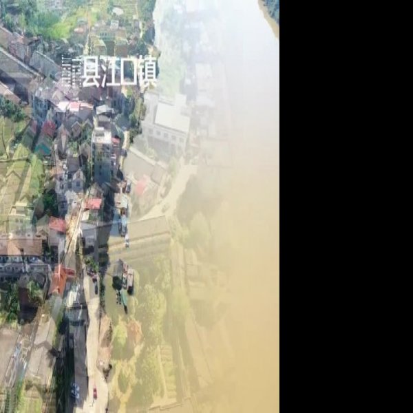 衡南江口鸟洲 - 图片5