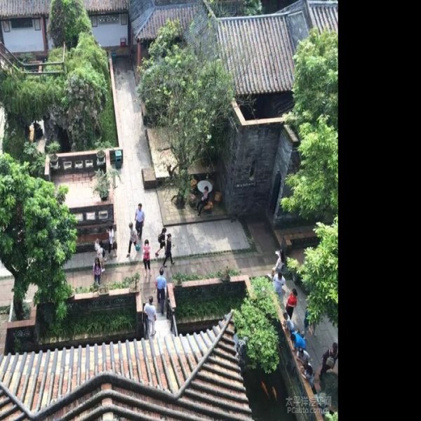 可园 - 图片10