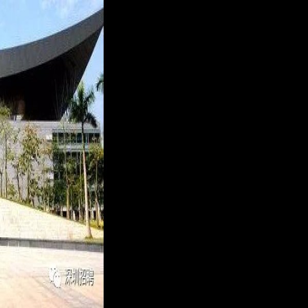深圳博物馆 - 图片4
