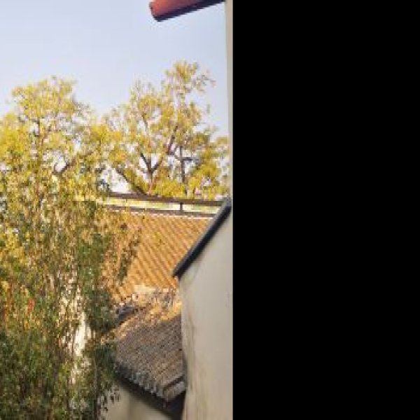 梅州东山书院 - 图片10