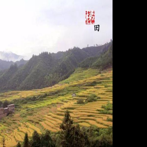 清远连南千年瑶寨 - 图片10