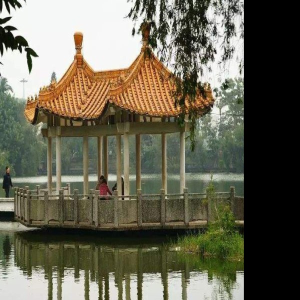 湛江雷州西湖 - 图片4