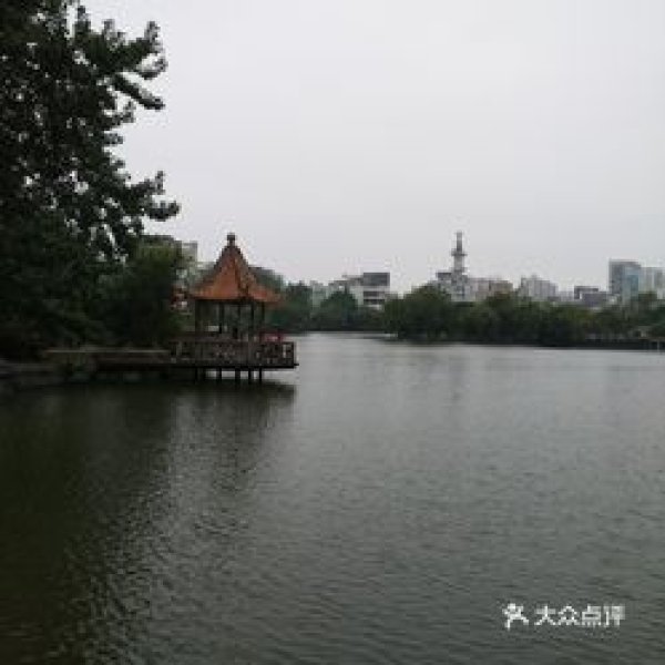 湛江雷州西湖 - 图片6