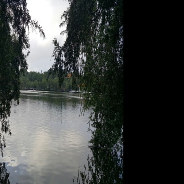 湛江雷州西湖 - 图片7