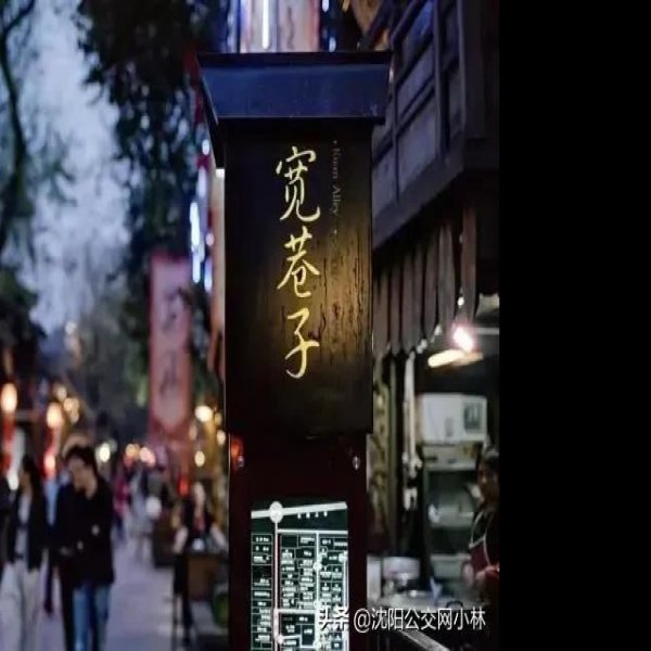 四川成都宽窄巷子 - 图片7
