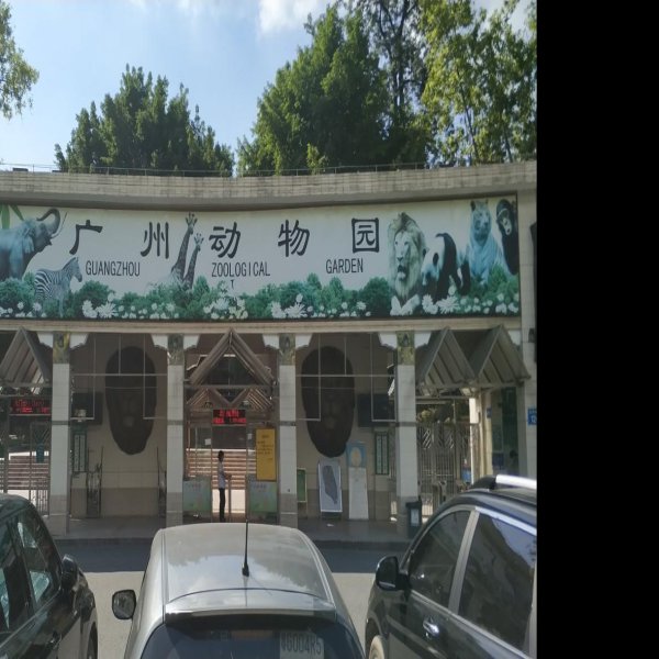 广州动物园 - 图片1
