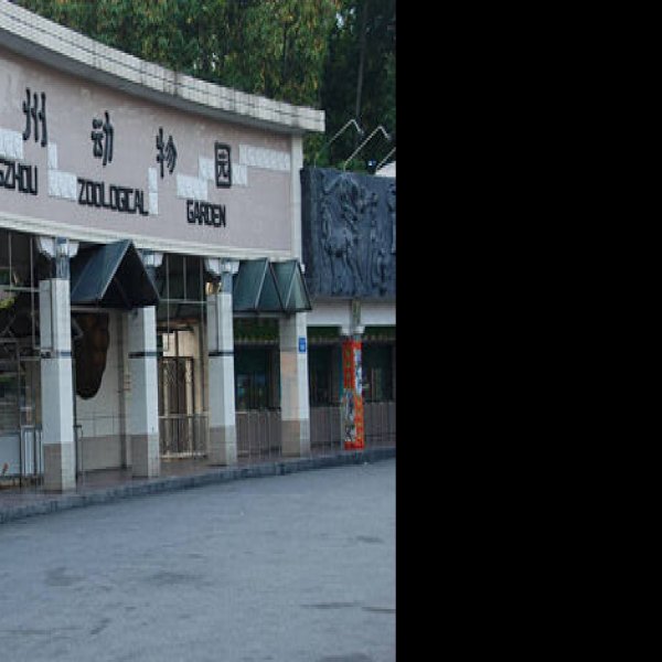 广州动物园 - 图片4
