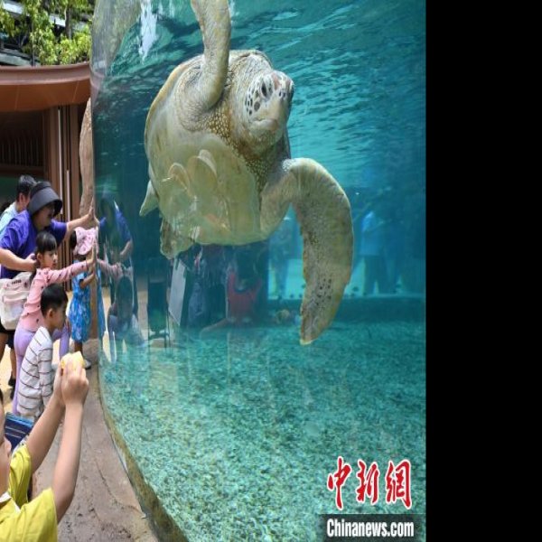 广州海洋馆 - 图片7