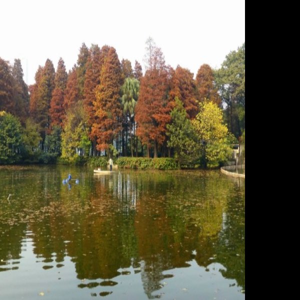 广州流花湖公园 - 图片2