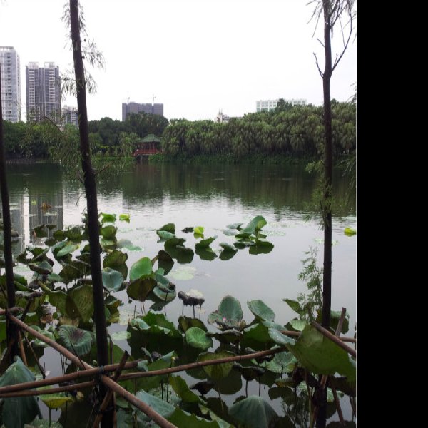 广州流花湖公园 - 图片7