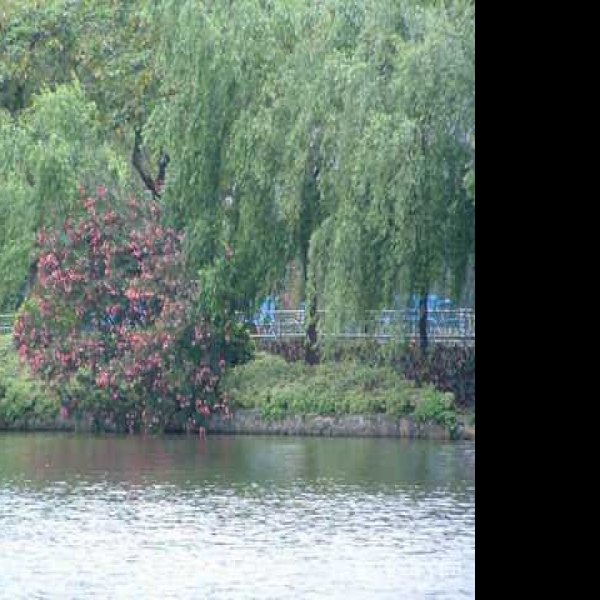 广州东山湖公园 - 图片9