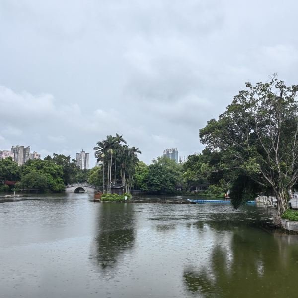 广州荔湾湖公园 - 图片2