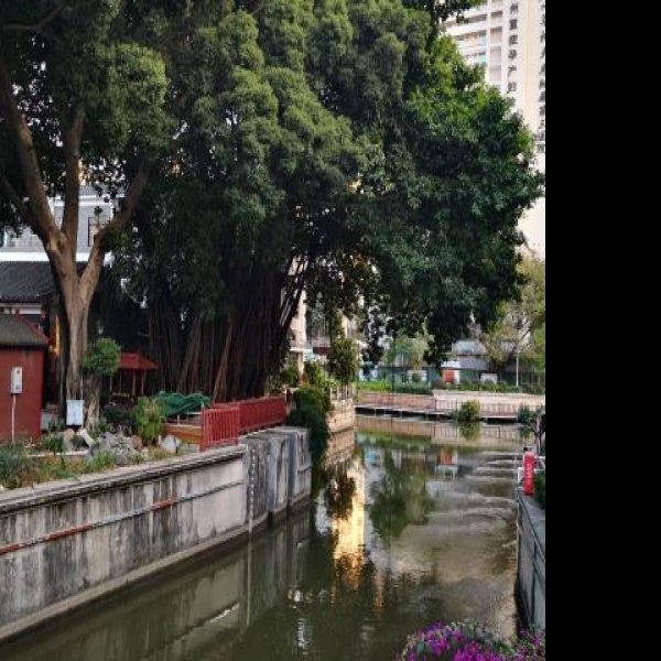 广州荔湾湖公园 - 图片4