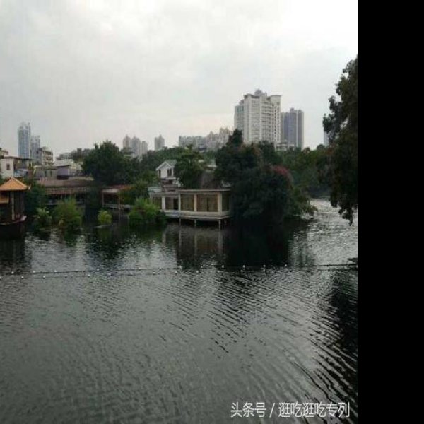 广州荔湾湖公园 - 图片5