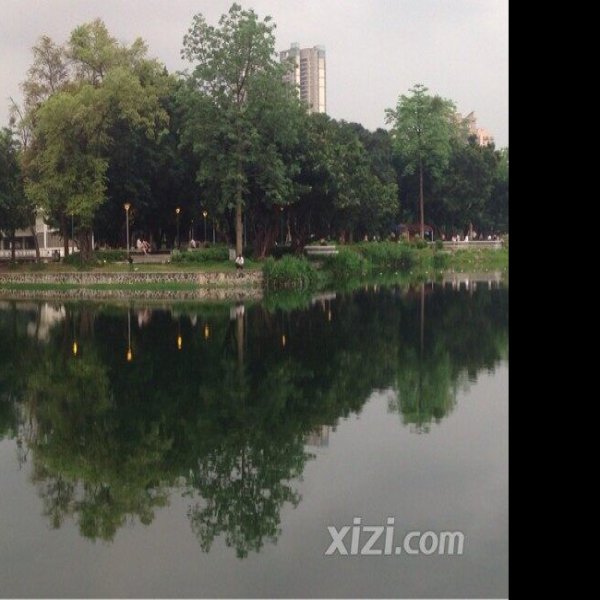广州荔湾湖公园 - 图片7