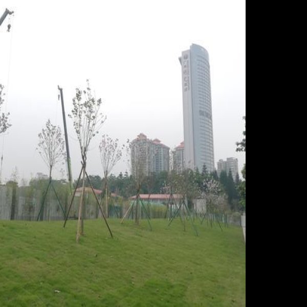 广州天河公园 - 图片10