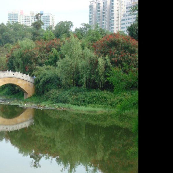 广州天河公园 - 图片8