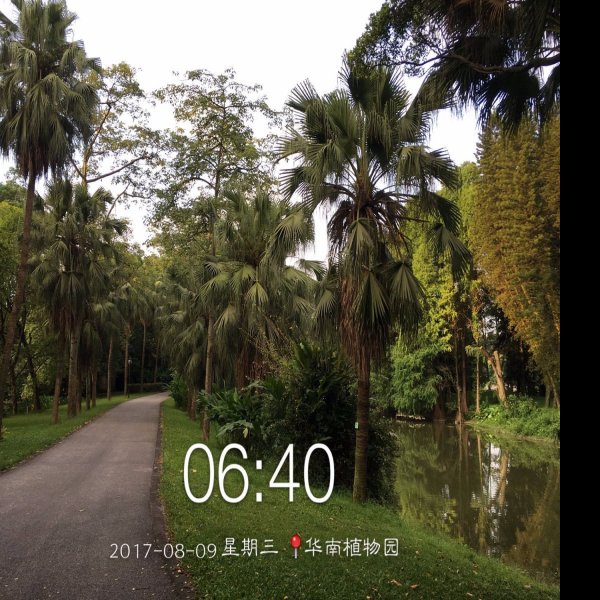 广州华南植物园 - 图片10