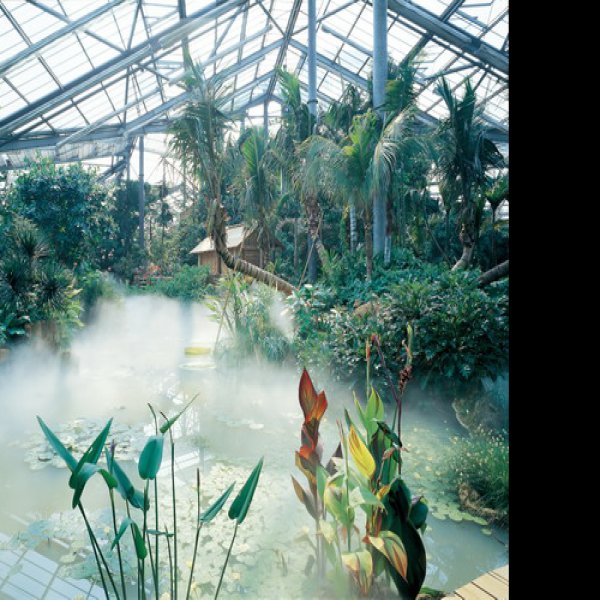 广州华南植物园 - 图片2