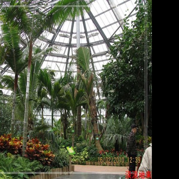 广州华南植物园 - 图片3