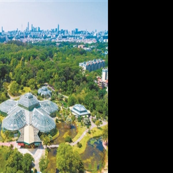 广州华南植物园 - 图片5