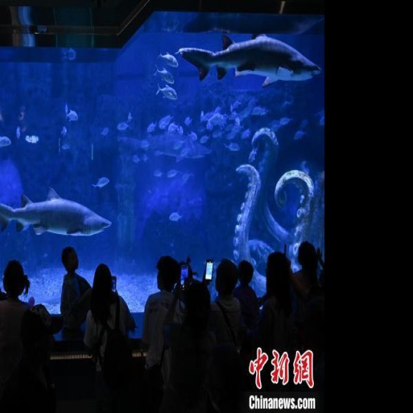 广州动物园海洋馆 - 图片2