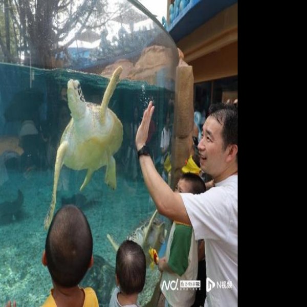 广州动物园海洋馆 - 图片4