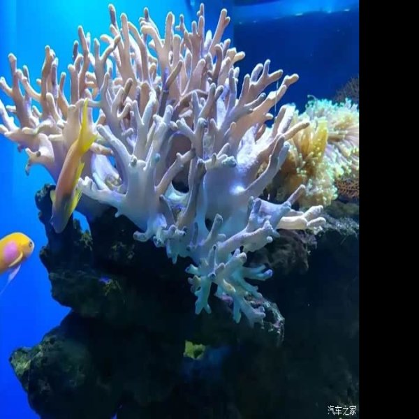 广州动物园海洋馆 - 图片9