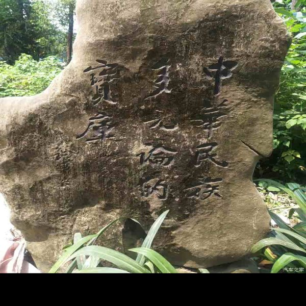 白莲洞遗址 - 图片10