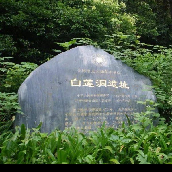 白莲洞遗址 - 图片5