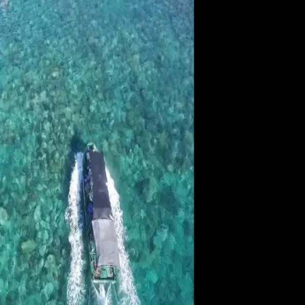 大洲岛沉船遗址 - 图片4