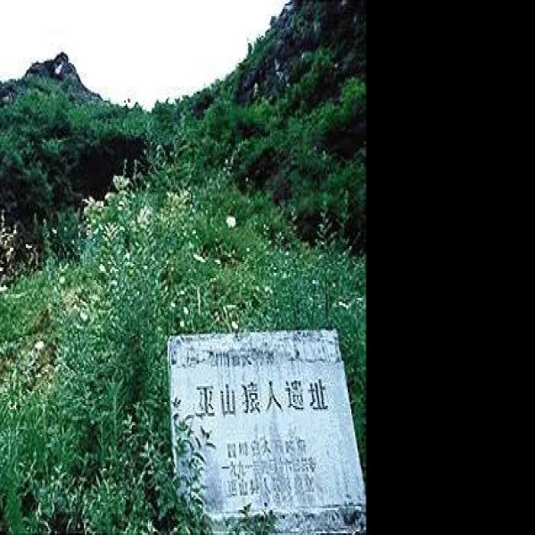 龙骨坡遗址 - 图片10