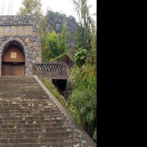龙骨坡遗址 - 图片3
