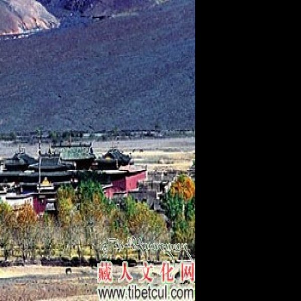 夏鲁寺 - 图片8
