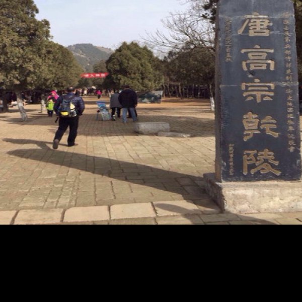 乾陵陪葬墓 - 图片9