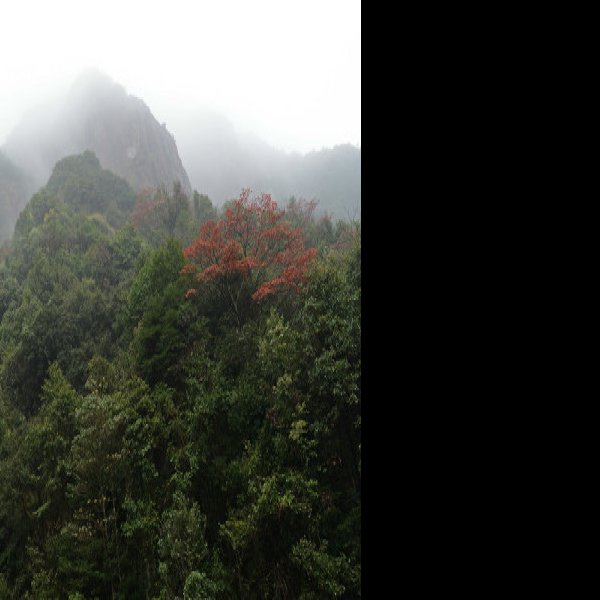 药王山 - 图片2