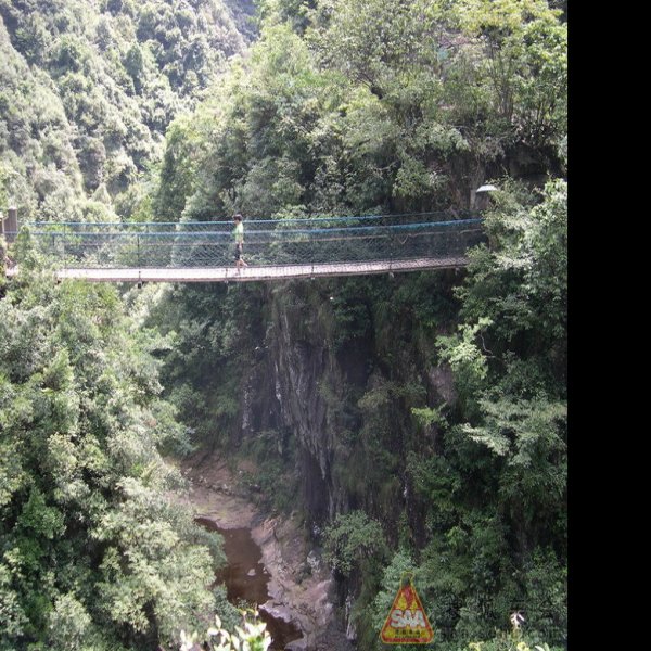 药王山 - 图片9