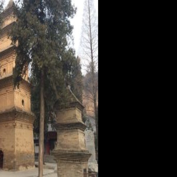 兴教寺 - 图片4